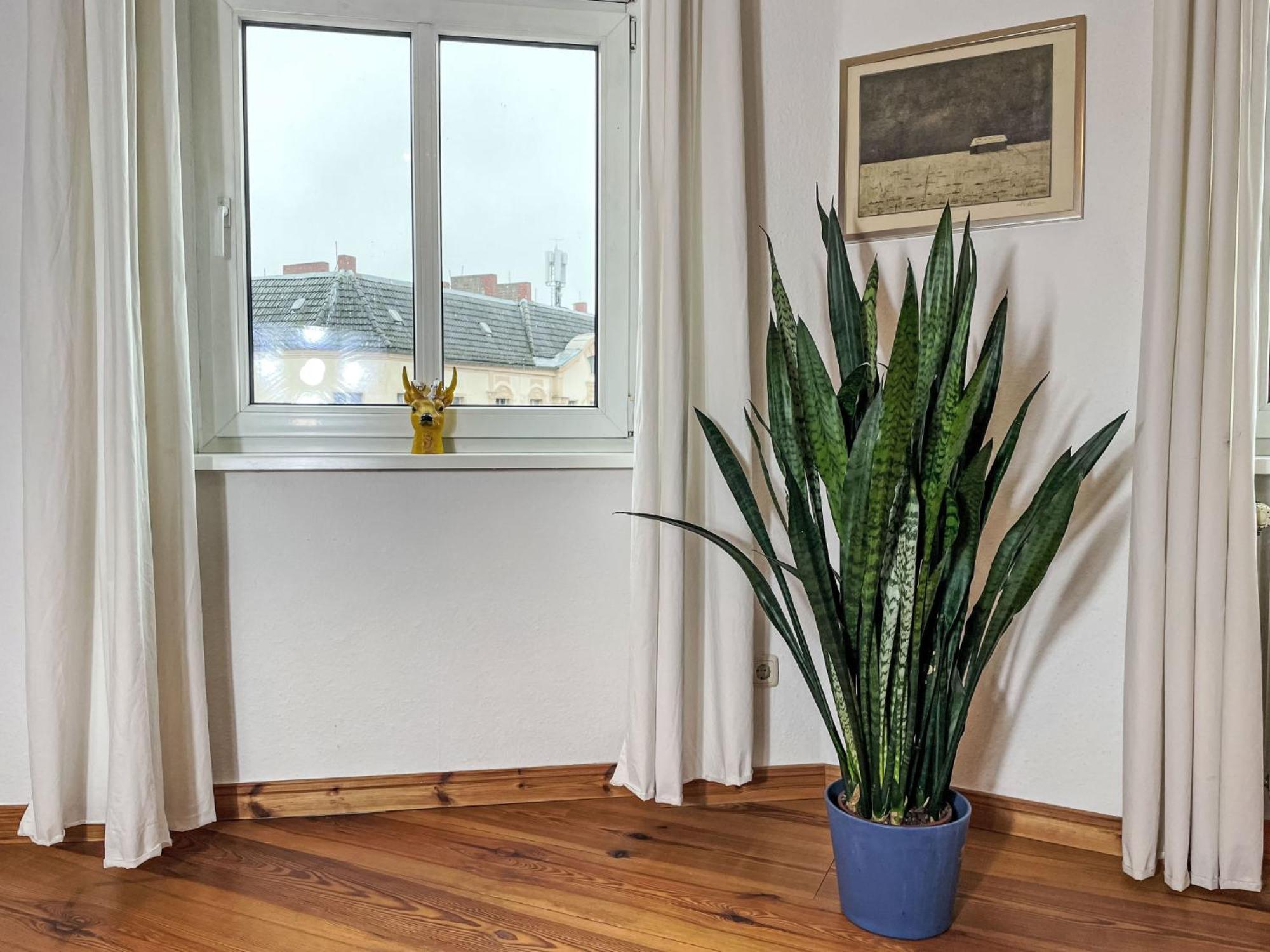 Appartement Regenbogen By Interhome Berlin
